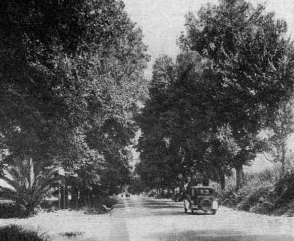 — La route de Saint-Antoine —