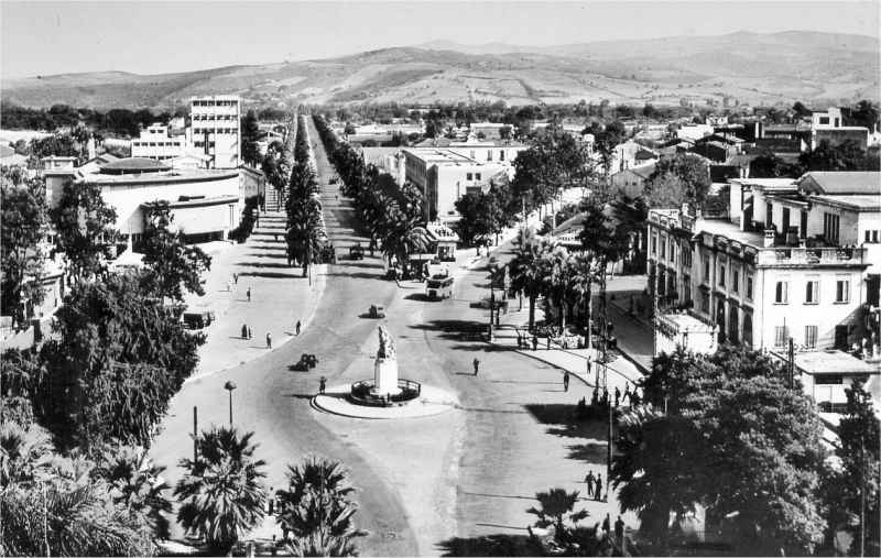 Philippeville - L'Avenue Raymond Barrot (au bout de cette avenue : le Stade et l'Hippodrome)
