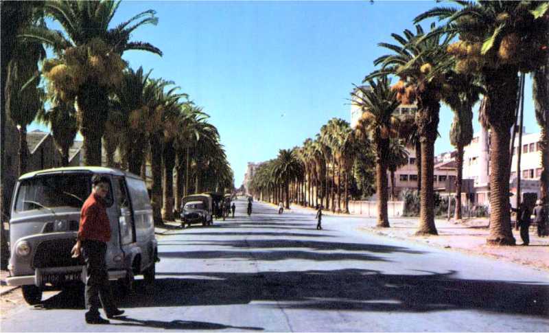 Philippeville - L'Avenue  Raymond Barrot