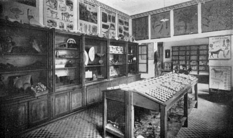 — Musée d'Histoire Naturelle - École d'Agriculture —