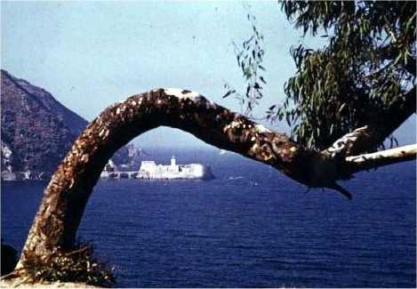 Philippeville - Le phare de Stora sous l'arbre brûlé - vers 1960