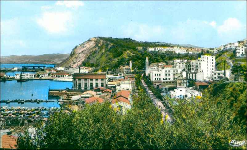 Vue sur le Sport Nautique et le Skikda